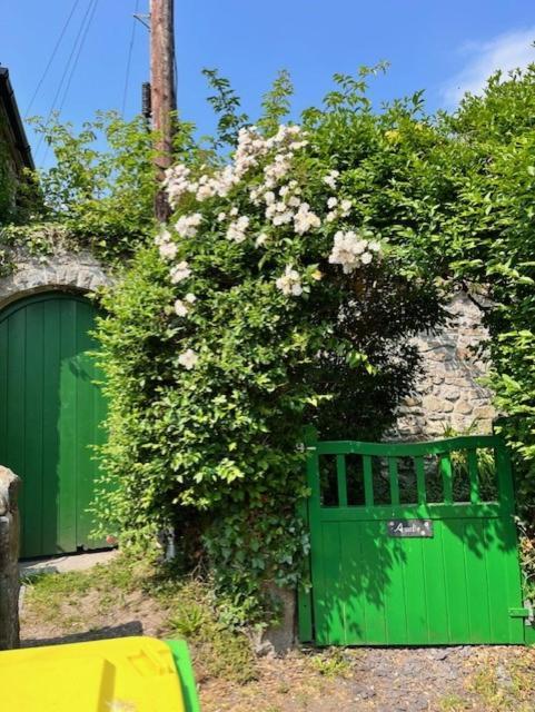 Amelie Cottage بوماريس المظهر الخارجي الصورة